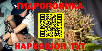эйфоретик Камышлов