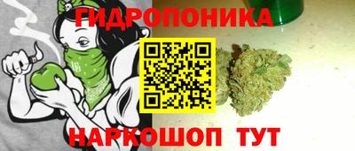 каннабис Кандалакша