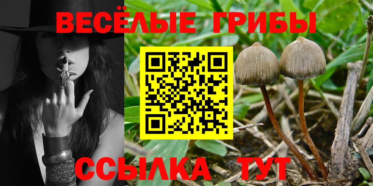 Крымск  Псилоцибиновые грибы Magic Shrooms  Вход с VPN 